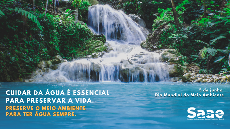 Com o tema “Acabar com a Poluição Plástica”, Dia Mundial do Meio Ambiente de ...